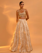 Heer Lehenga